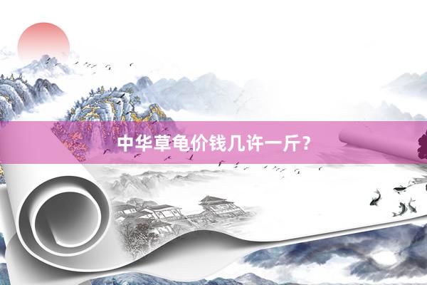 中华草龟价钱几许一斤？